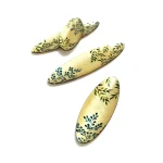 اردورخوری بیضی - تصویر 2